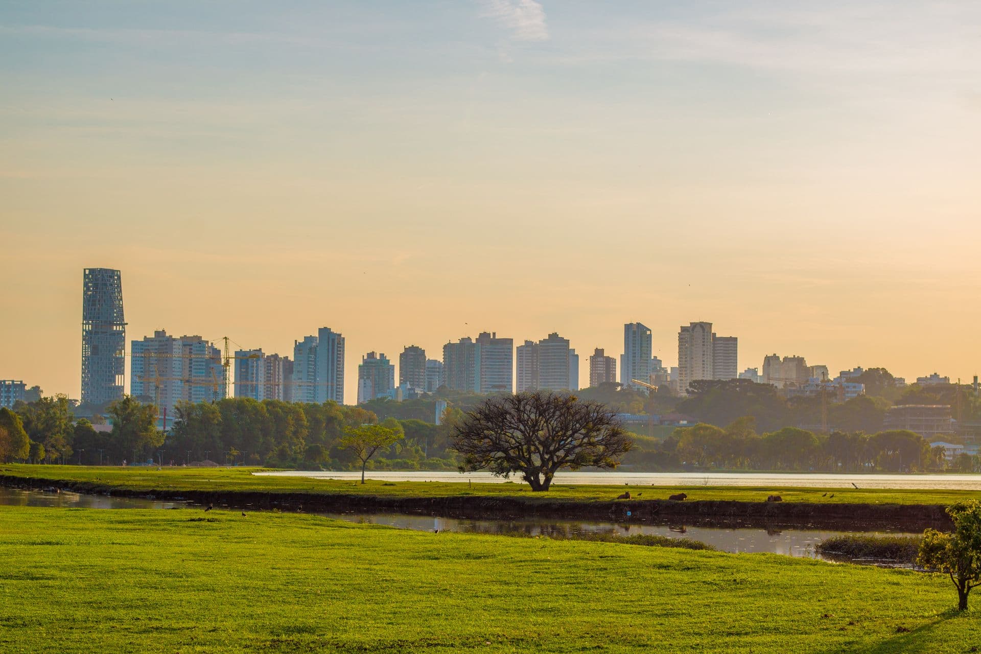 Os Melhores Bairros de Curitiba para Morar em 2026