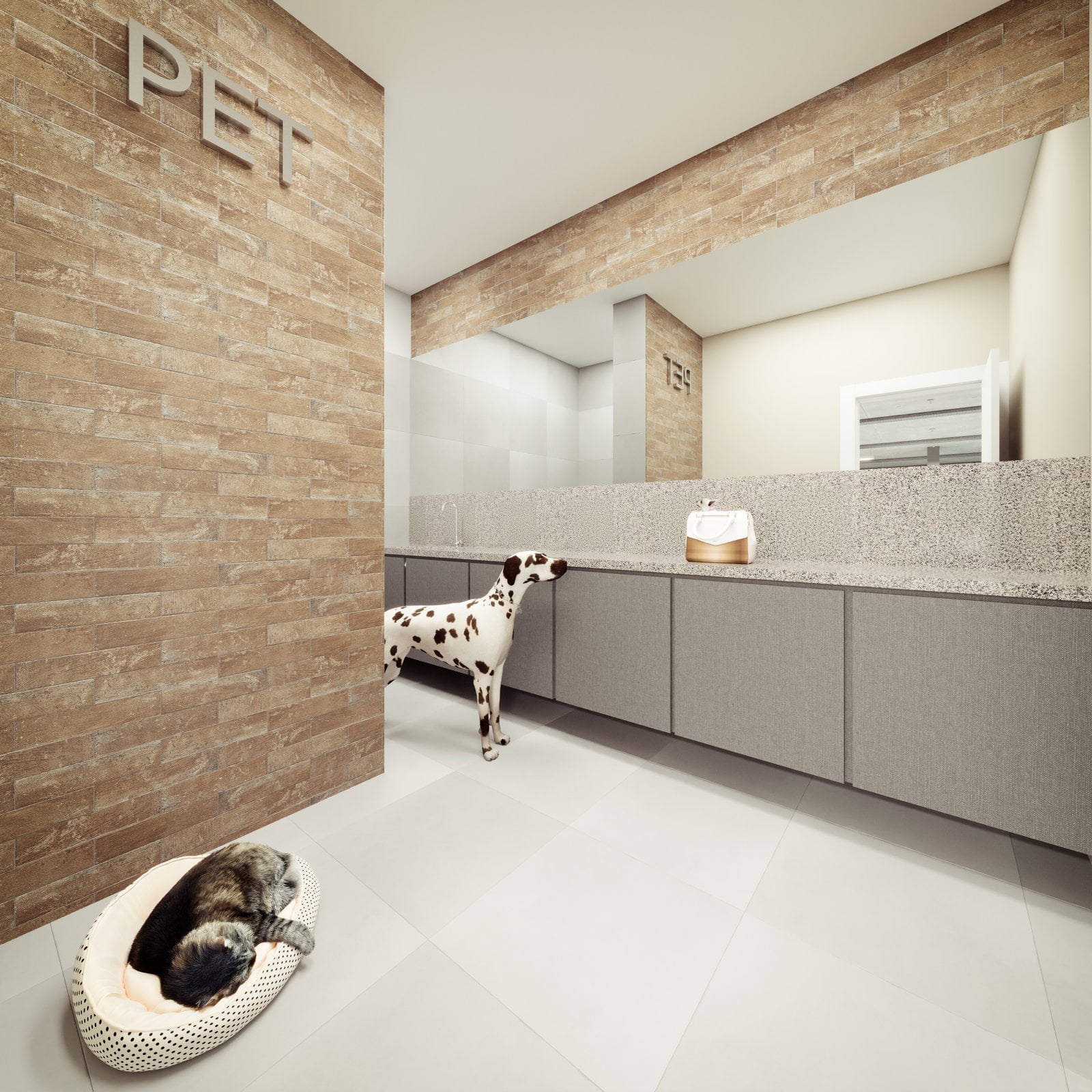 2.4_PET_camIMGpet_1.jpg